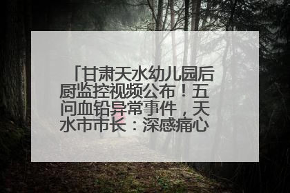 甘肃天水幼儿园后厨监控视频公布！五问血铅异常事件，天水市市长：深感痛心、十分自责