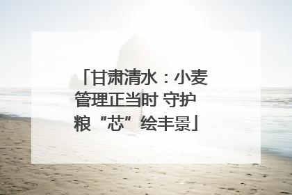 甘肃清水：小麦管理正当时 守护粮“芯”绘丰景