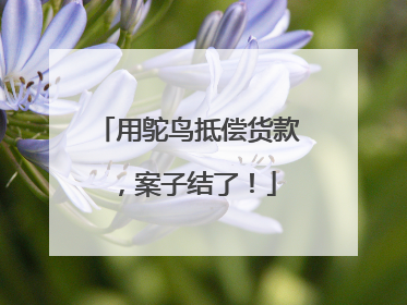 用鸵鸟抵偿货款，案子结了！