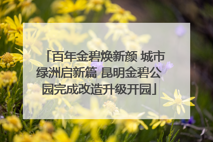 百年金碧焕新颜 城市绿洲启新篇 昆明金碧公园完成改造升级开园