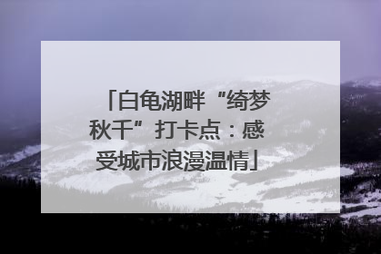 白龟湖畔“绮梦秋千”打卡点：感受城市浪漫温情