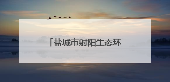 盐城市射阳生态环境局开展六五环境日主题宣传系列活动