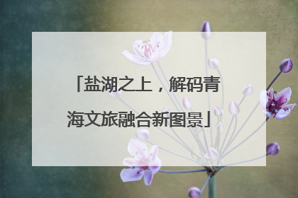 盐湖之上，解码青海文旅融合新图景