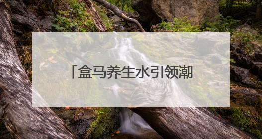 盒马养生水引领潮流，满足“不爱喝水星人”养生需求