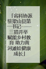 省科协派驻梁山县第一书记——三措并举 赋能乡村教育 助力黄河滩娃健康成长
