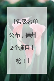 省级名单公布，德州2个项目上榜！
