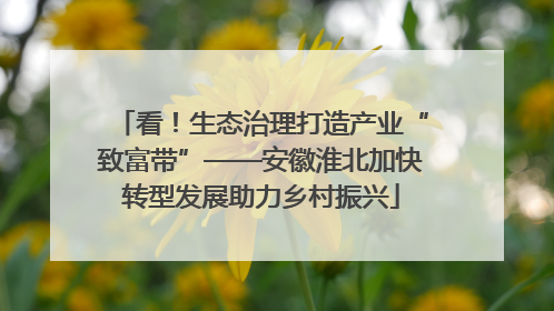 看！生态治理打造产业“致富带”——安徽淮北加快转型发展助力乡村振兴