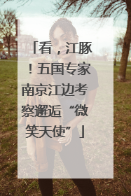 看，江豚！五国专家南京江边考察邂逅“微笑天使”