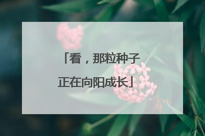 看，那粒种子正在向阳成长