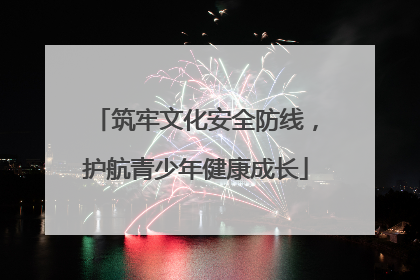 筑牢文化安全防线，护航青少年健康成长