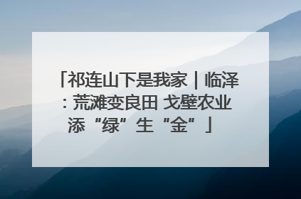 祁连山下是我家｜临泽：荒滩变良田 戈壁农业添“绿”生“金”