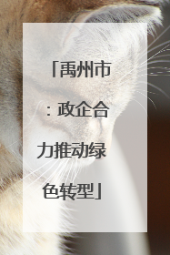 禹州市：政企合力推动绿色转型