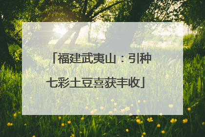 福建武夷山：引种七彩土豆喜获丰收