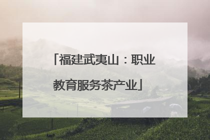 福建武夷山：职业教育服务茶产业