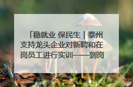 稳就业 保民生｜泰州支持龙头企业对新聘和在岗员工进行实训——到岗就能用 用了就见效