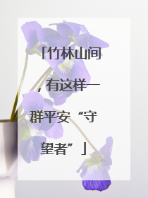 竹林山间，有这样一群平安“守望者”