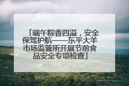 端午粽香四溢，安全保驾护航——东平大羊市场监管所开展节前食品安全专项检查