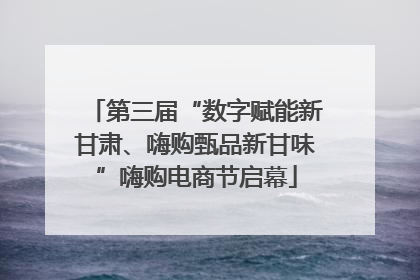 第三届“数字赋能新甘肃、嗨购甄品新甘味”嗨购电商节启幕
