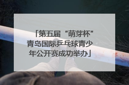 第五届“萌芽杯”青岛国际乒乓球青少年公开赛成功举办