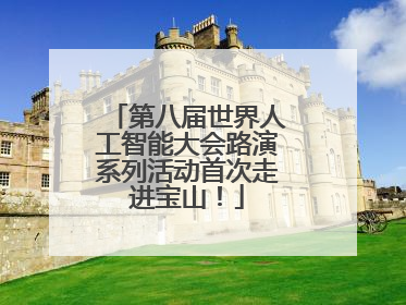 第八届世界人工智能大会路演系列活动首次走进宝山！