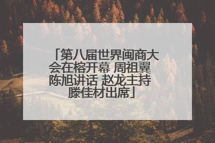 第八届世界闽商大会在榕开幕 周祖翼陈旭讲话 赵龙主持 滕佳材出席