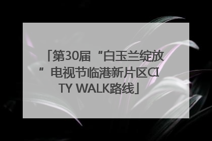 第30届“白玉兰绽放”电视节临港新片区CITY WALK路线