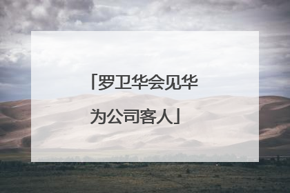 罗卫华会见华为公司客人