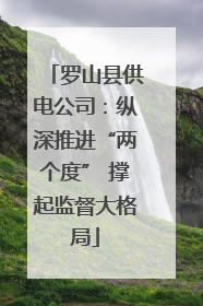 罗山县供电公司：纵深推进“两个度” 撑起监督大格局