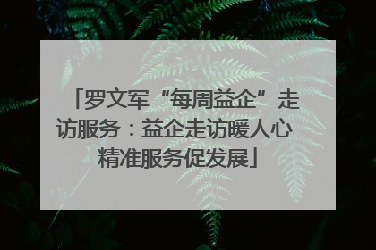 罗文军“每周益企”走访服务：益企走访暖人心 精准服务促发展