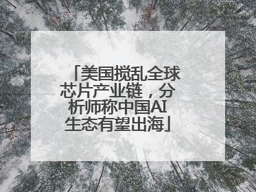 美国搅乱全球芯片产业链，分析师称中国AI生态有望出海
