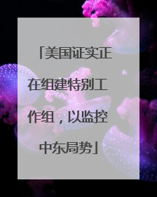 美国证实正在组建特别工作组，以监控中东局势