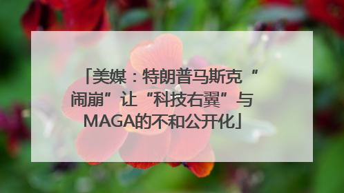 美媒：特朗普马斯克“闹崩”让“科技右翼”与MAGA的不和公开化