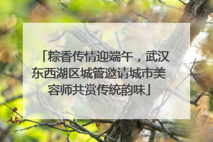 粽香传情迎端午，武汉东西湖区城管邀请城市美容师共赏传统韵味