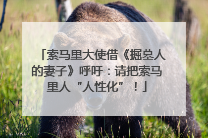索马里大使借《掘墓人的妻子》呼吁：请把索马里人“人性化”！
