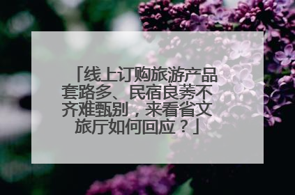 线上订购旅游产品套路多、民宿良莠不齐难甄别，来看省文旅厅如何回应？