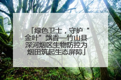 绿色卫士，守护“金叶”飘香—竹山县深河烟区生物防控为烟田筑起生态屏障