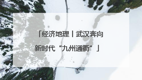 经济地理丨武汉奔向新时代“九州通衢”
