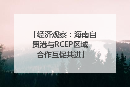 经济观察：海南自贸港与RCEP区域合作互促共进