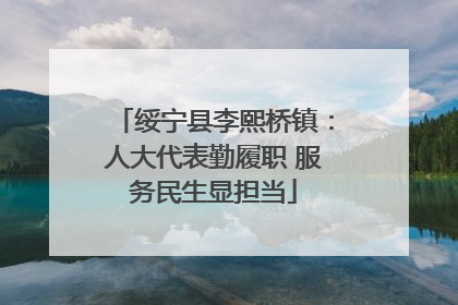绥宁县李熙桥镇：人大代表勤履职 服务民生显担当