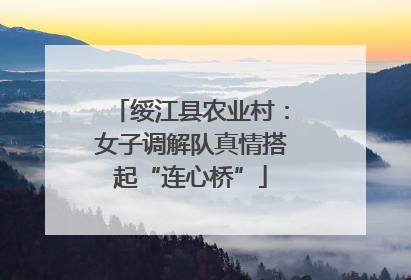 绥江县农业村：女子调解队真情搭起“连心桥”