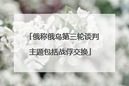 俄称俄乌第三轮谈判主题包括战俘交换