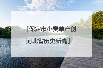 保定市小麦单产创河北省历史新高