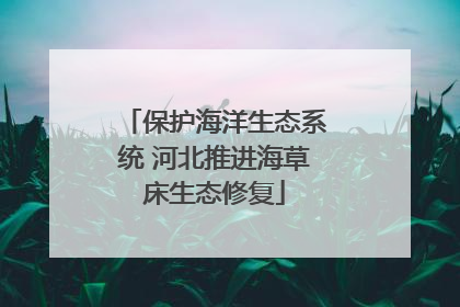 保护海洋生态系统 河北推进海草床生态修复