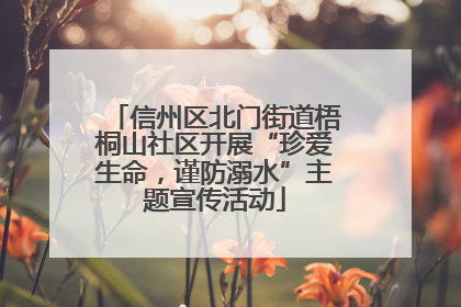 信州区北门街道梧桐山社区开展“珍爱生命，谨防溺水”主题宣传活动