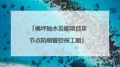 佛坪抽水蓄能项目攻节点精细管控保工期