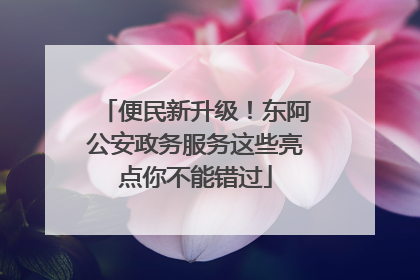 便民新升级！东阿公安政务服务这些亮点你不能错过