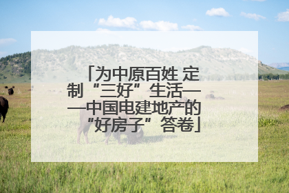 为中原百姓 定制“三好”生活——中国电建地产的“好房子”答卷