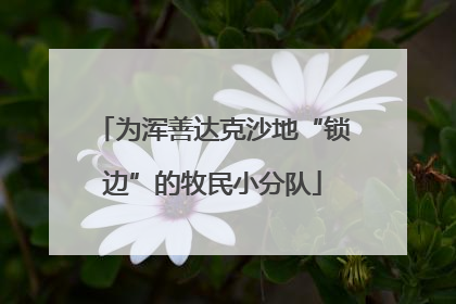 为浑善达克沙地“锁边”的牧民小分队