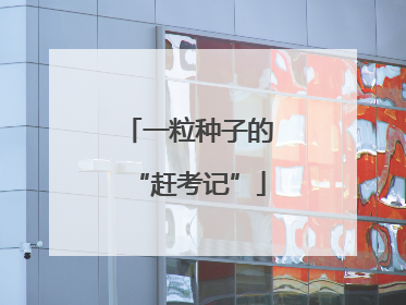 一粒种子的“赶考记”
