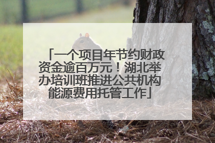 一个项目年节约财政资金逾百万元！湖北举办培训班推进公共机构能源费用托管工作